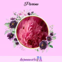 Fondant parfumé "Pivoine"